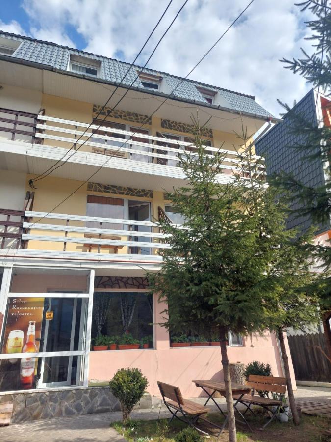 Mountain View Apartment Busteni Exterior photo