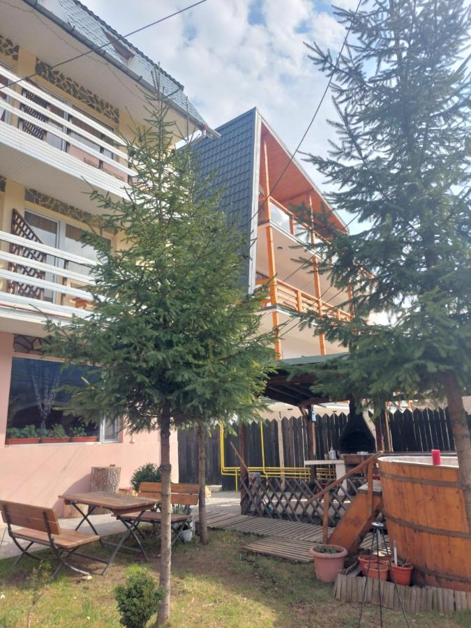 Mountain View Apartment Busteni Exterior photo